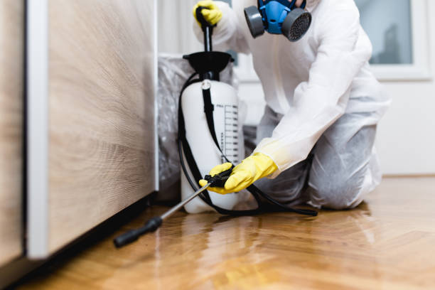 Best Emergency Pest Control  in Waldron, AR