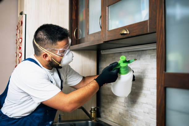 Best Commercial Pest Control Services  in Waldron, AR