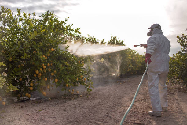 Best Insect Control  in Waldron, AR