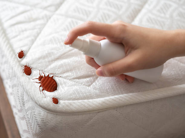 Best Cockroach Control Services  in Waldron, AR