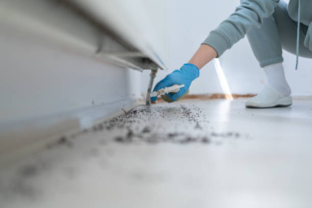 Best Pest Inspection Near Me  in Waldron, AR